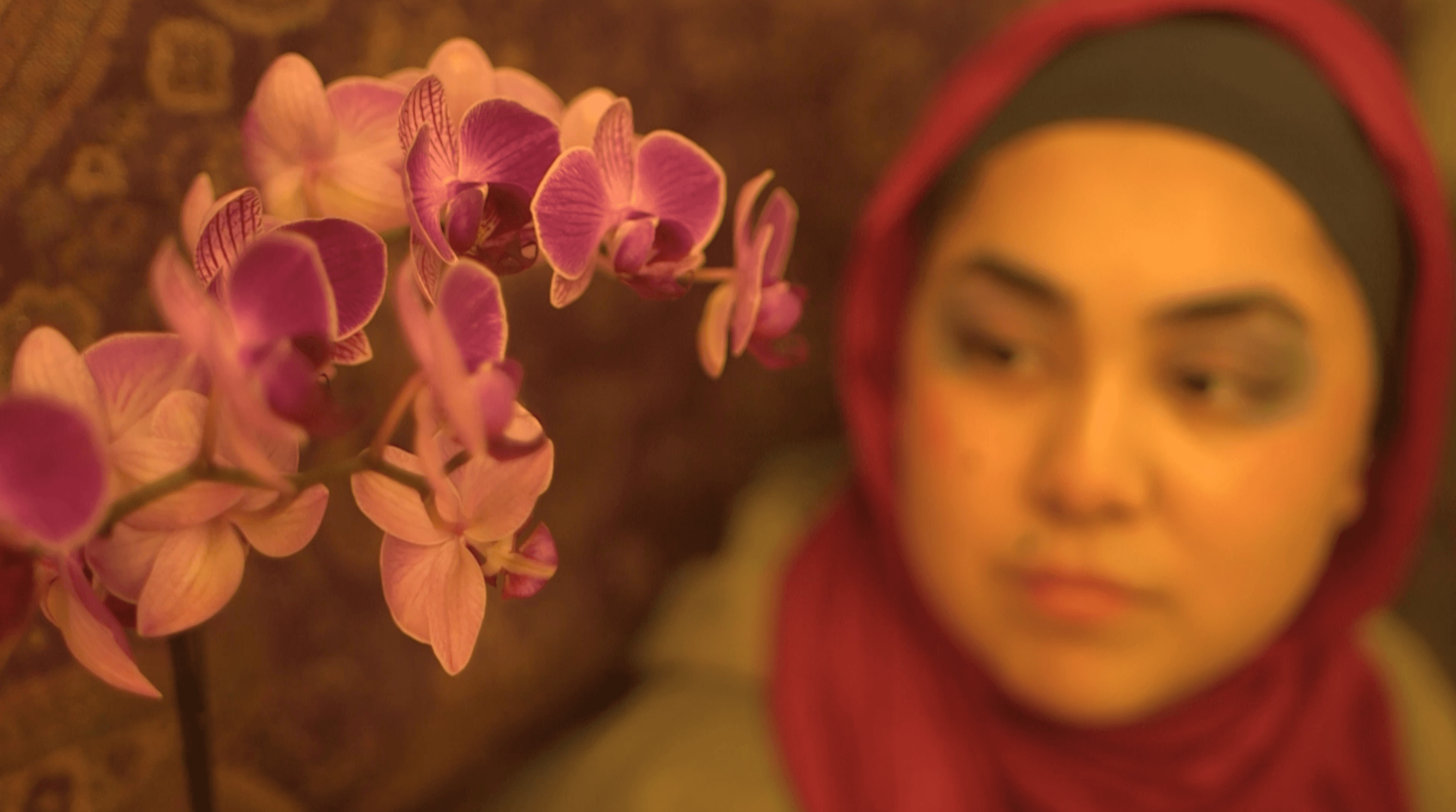 Mary Nazari still 4