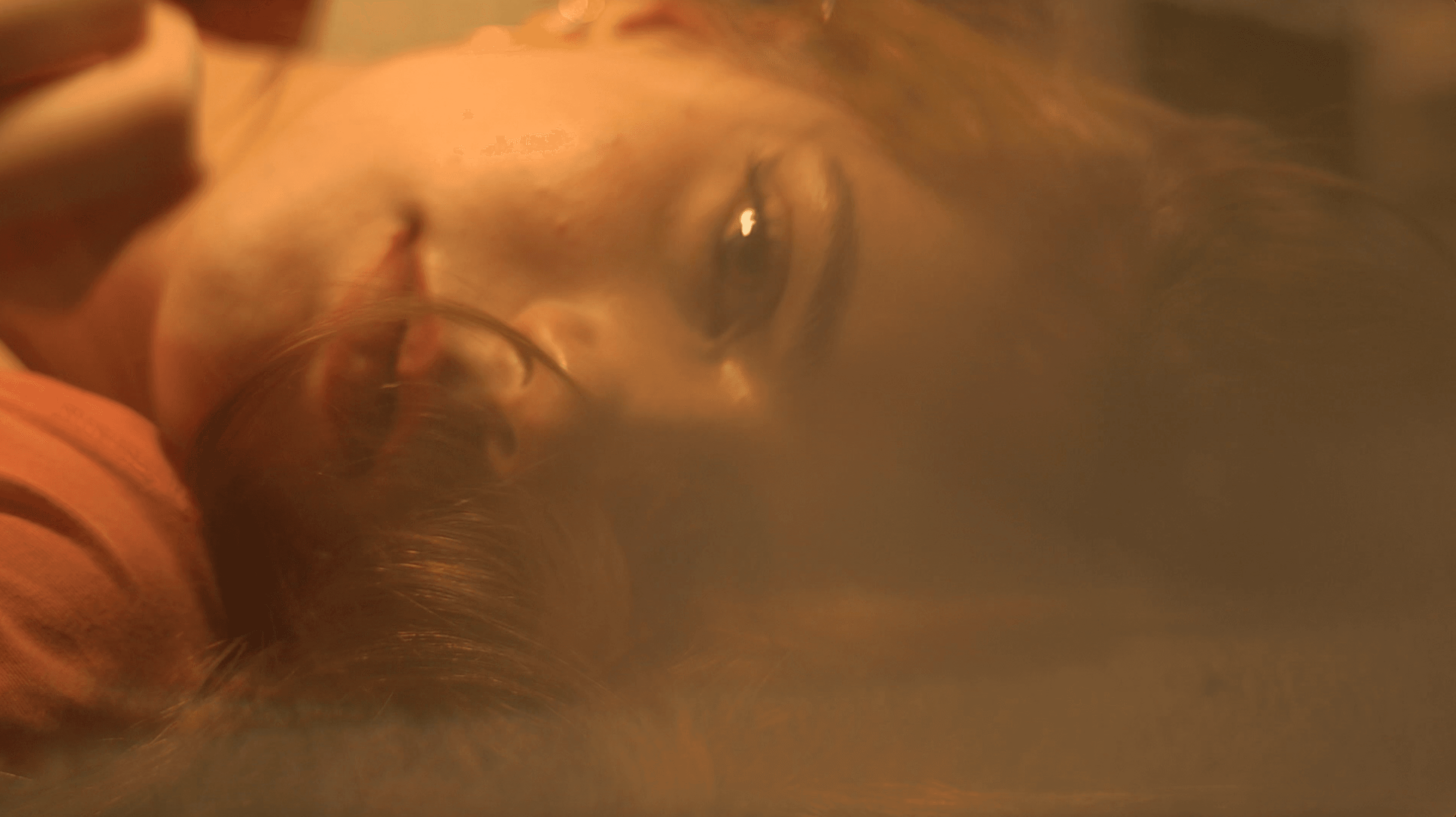 Sabine Vallentin still 1